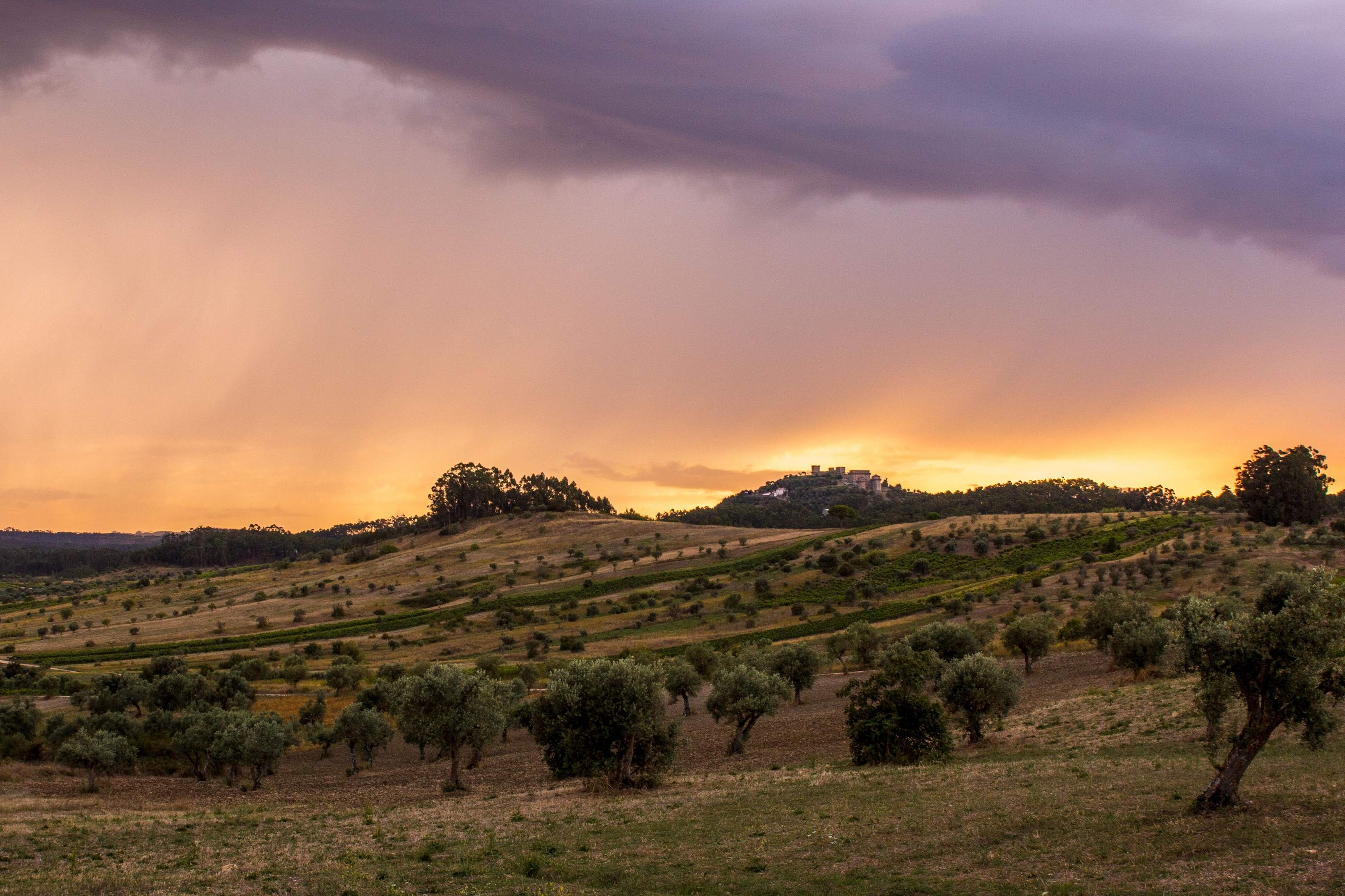 Rolling rural countryside and farmland in the Alentejo region of Portugal