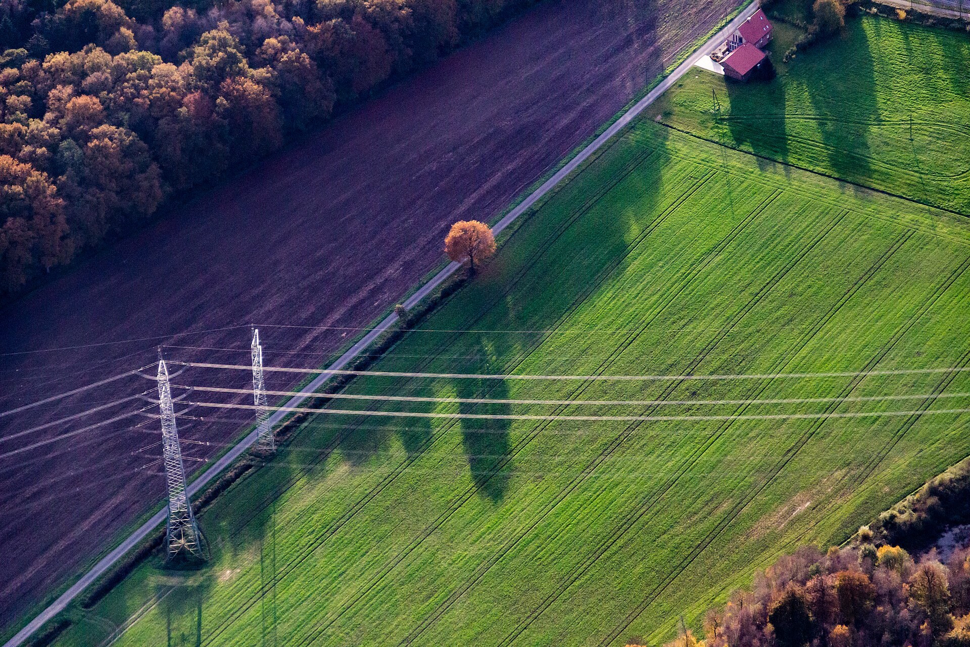 High-voltage transmission towers and conductors crossing farmland in autumn, seen from the air