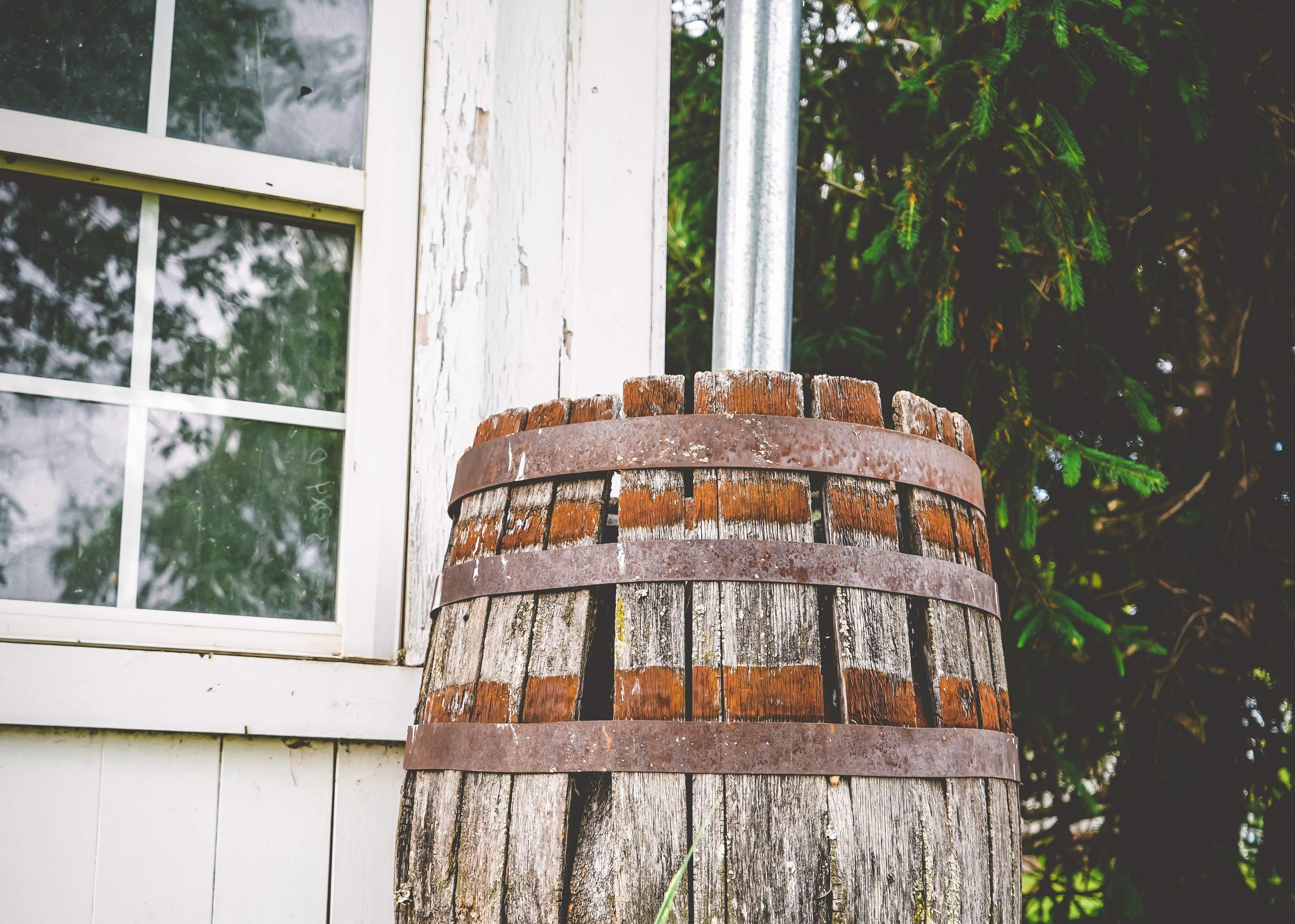 Rain barrel collecting water from a roof gutter downspout