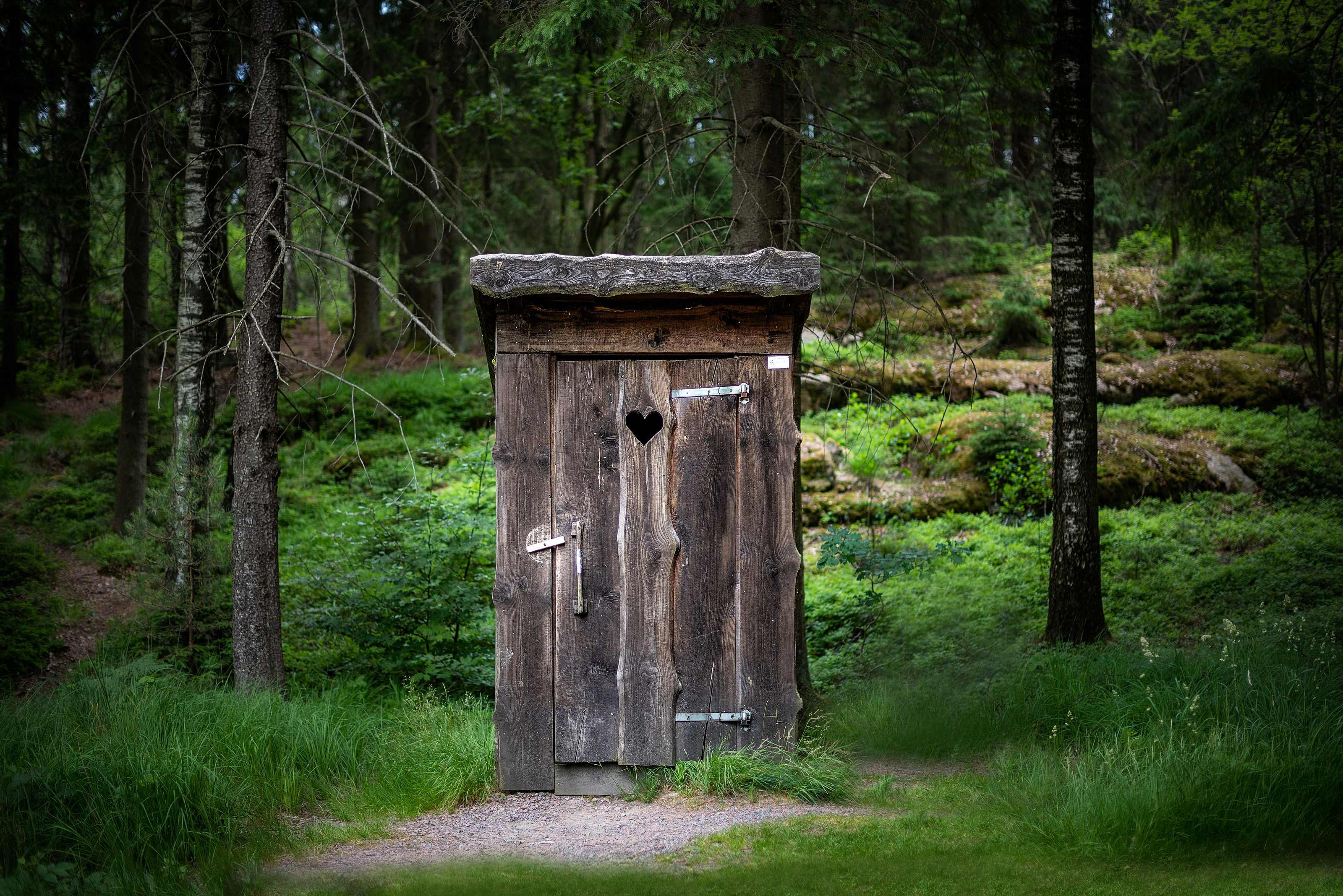 Urine-diverting composting toilet with a timber surround inside an off-grid cabin bathroom