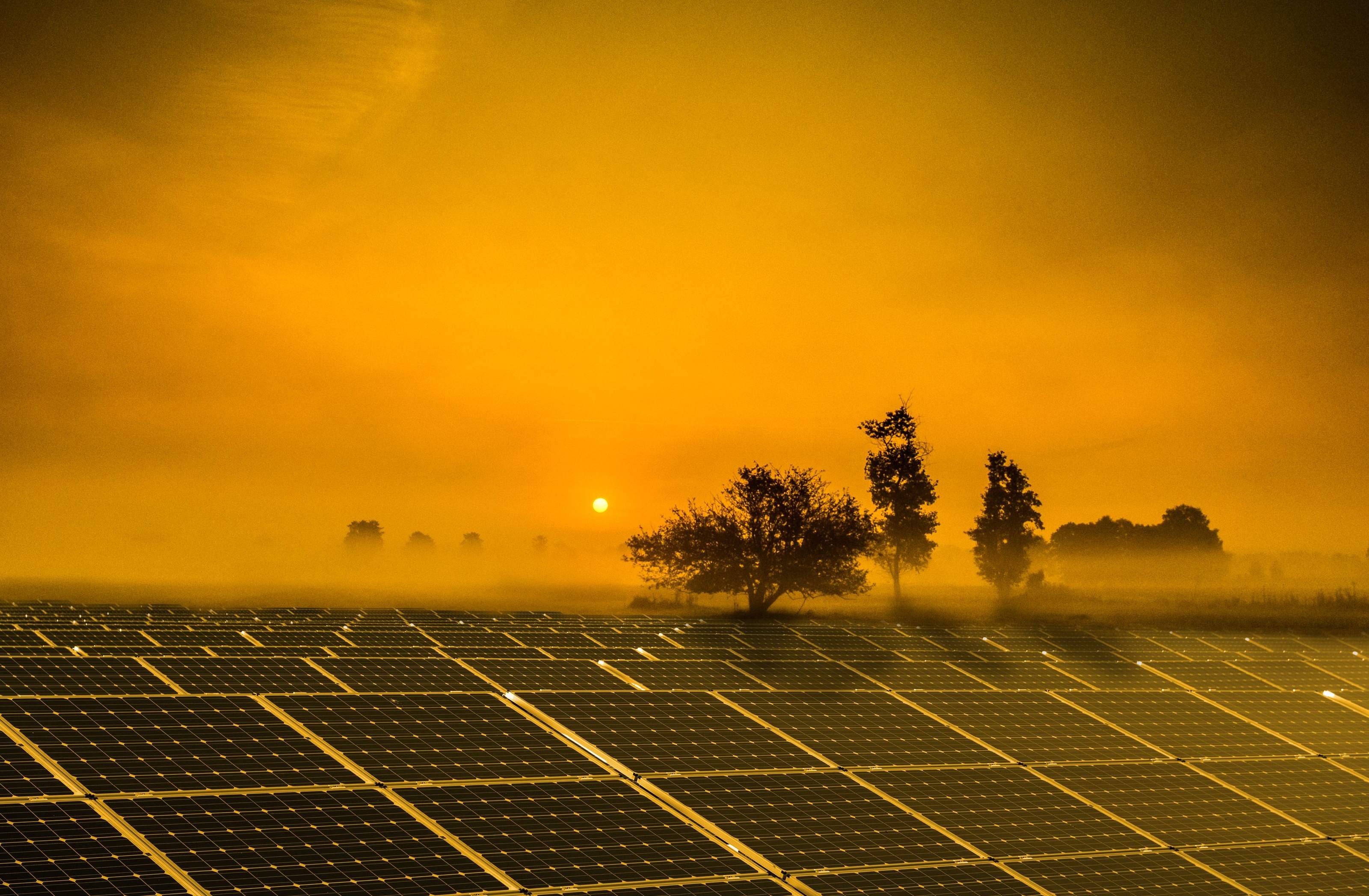 Ground-mounted off-grid solar array tilted toward a low winter sun